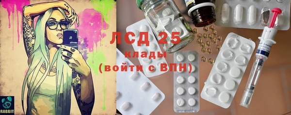 ПСИЛОЦИБИНОВЫЕ ГРИБЫ Алексин