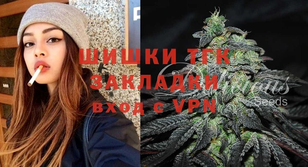 гидра Алексеевка