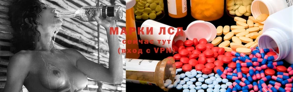 ПСИЛОЦИБИНОВЫЕ ГРИБЫ Алексин