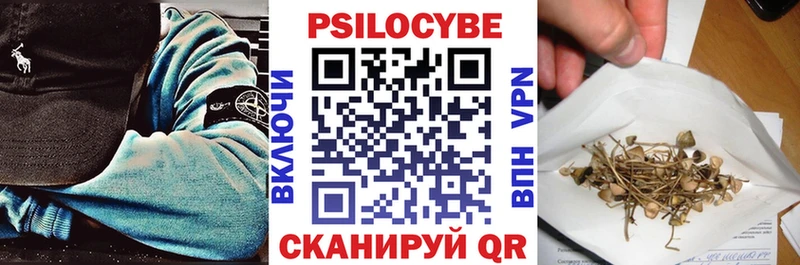 где купить omg ссылка Галлюциногенные грибы Cubensis Щёлково